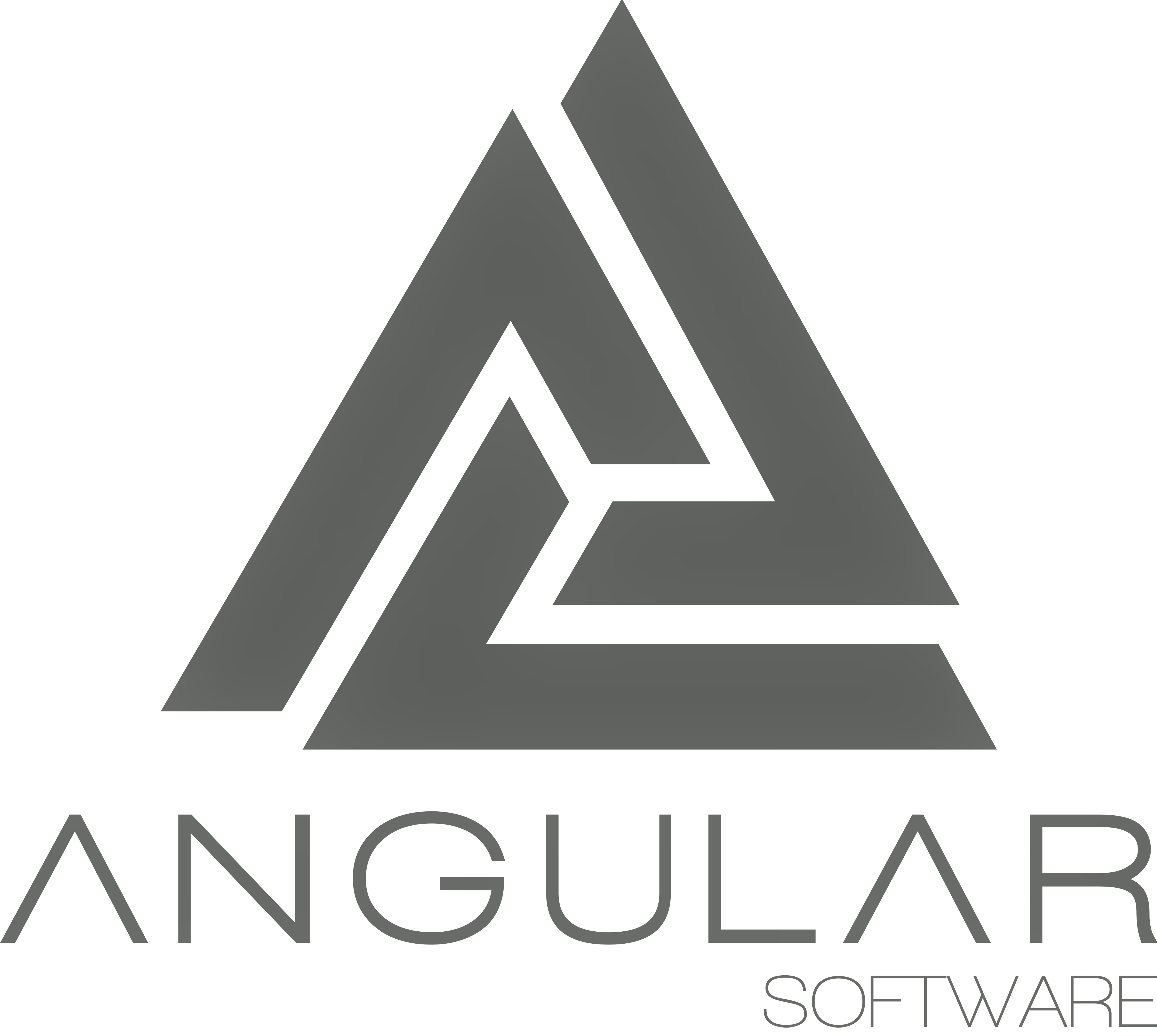 Angular Software